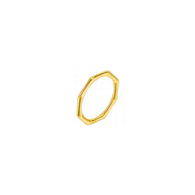 18K Gold Plated Stainless Steel Earrings - Fashionable and Durable Jewelry Delta Jewel